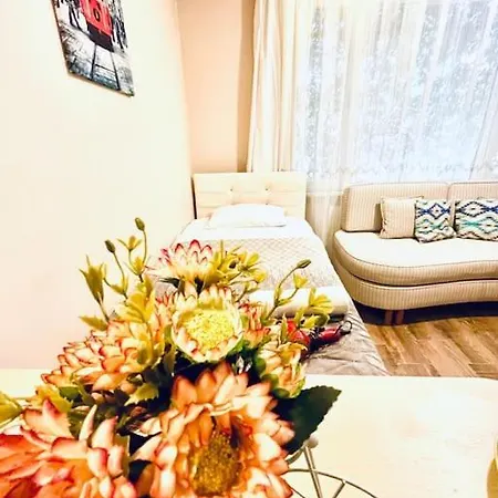 Arya Flat In Cihangir 13 * İstanbul